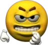 Cleanduck